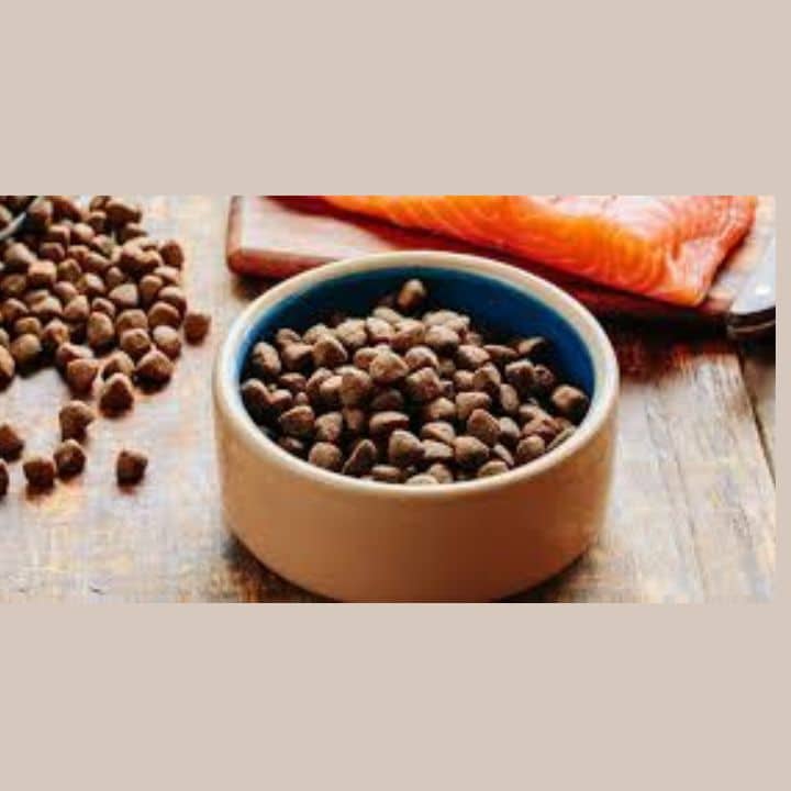 Wsava approved dog food